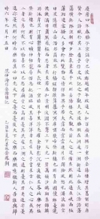 鷨-Ƿﳯ