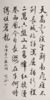 鷨-