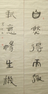 鷨-Ž