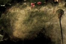 o΢ɽ-춵½