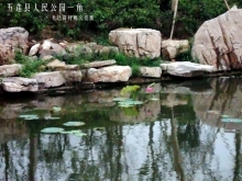 ԰һ-yaojiouliang