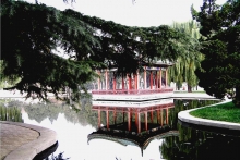 Сͤ-wangxinxian