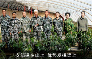 支部建在山上  优势发挥梁上