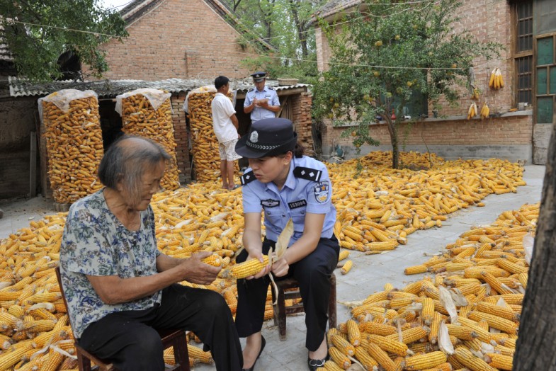 山东定陶县：走进老人   服务“三秋”