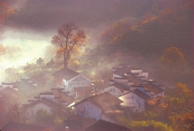ɽ峿-