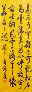 鷨-