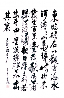 鷨-