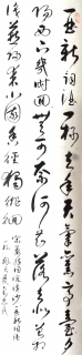 鷨-