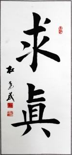 鷨-Ž