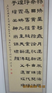 鷨-޿