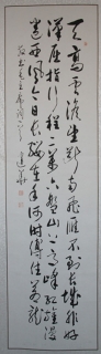鷨-Ž