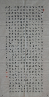鷨-Ź