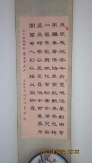 鷨-޿