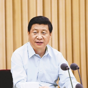 ϰƽȫ֯ǿ һ֧ʸɲ飨2013.6.29