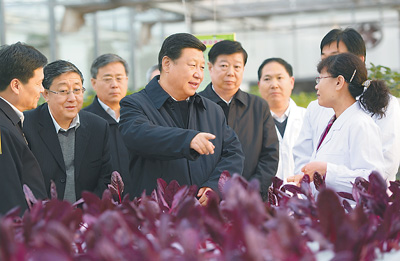 习近平在山东考察：汇聚起全面深化改革的强大正能量（2013.11.26）