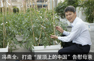 冯燕全的另类孝心：打造“屋顶上的中国”告慰母亲