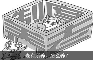 老有所养，怎么养？