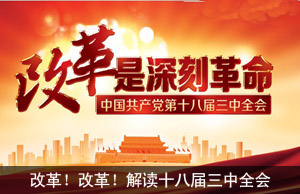 改革！改革！解读十八届三中全会