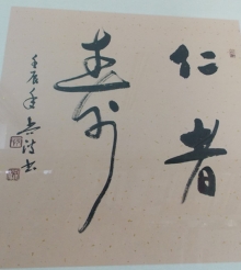 鷨-в