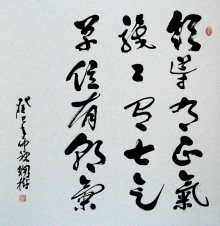 鷨-鷨