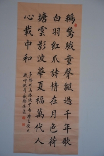 鷨-ʢ