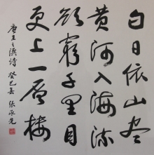 鷨-ų