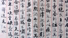 鷨-