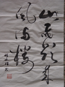 鷨-˫ʤ