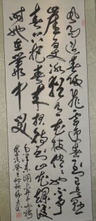 鷨-Ƹ