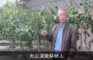 大山深处科研人 ——记交城县农业局退休干部任武秀