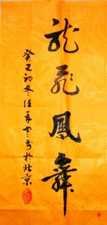 鷨-