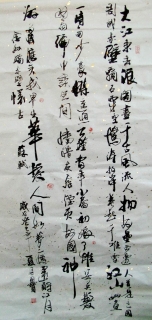 鷨-