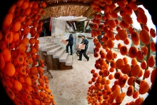 ԲԲ-ںϿϦ