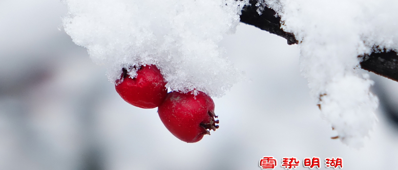 2014年第3期—图行天下—葛临海《雪染明湖》