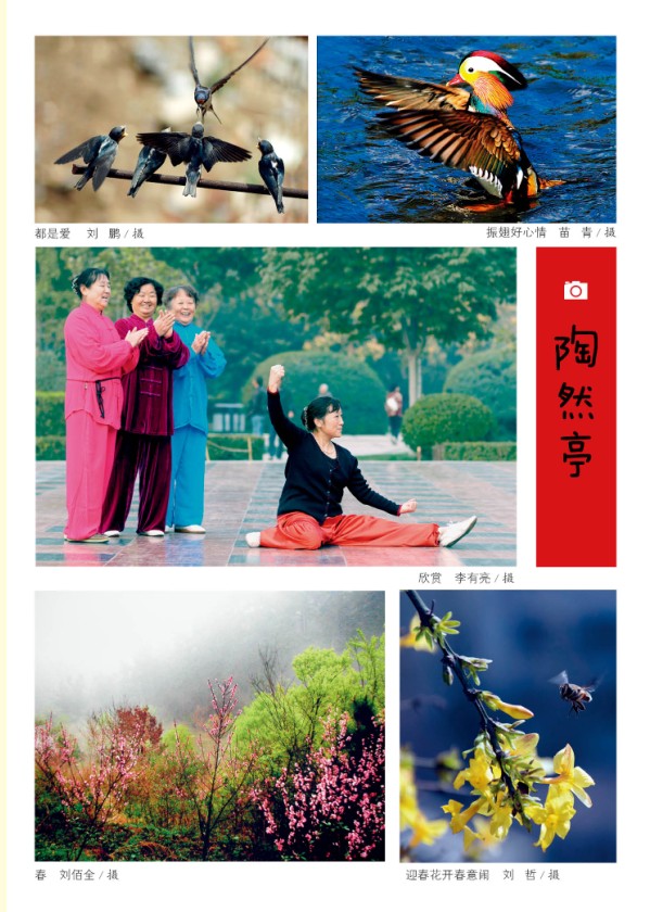 摄影作品欣赏（第3期）