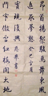 鷨-
