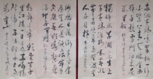 鷨-