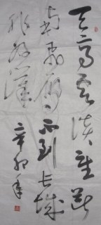 鷨-