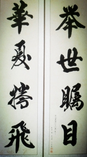 鷨-޵´