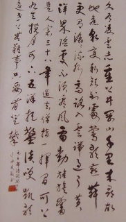 鷨-
