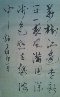 鷨-ͯ