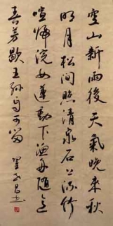 鷨-