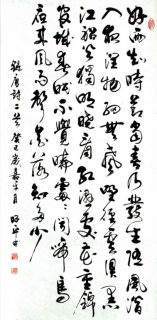 鷨-ƽ
