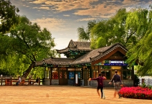 ഺ-qingqing800