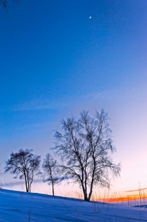ϼӳ-ߵ