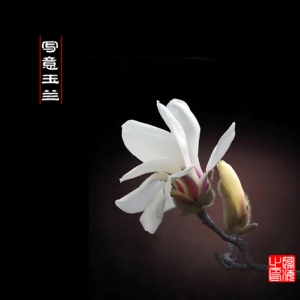 20144ڡͼ¡ٺҵҰ д 