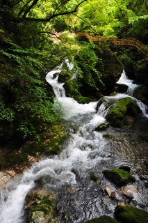 ʫ续-