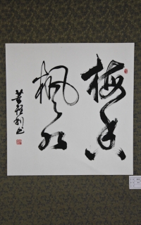 鷨-