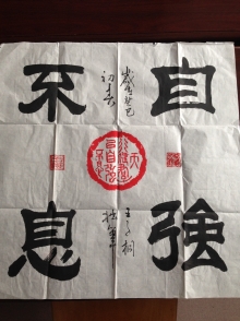 鷨-ͩ