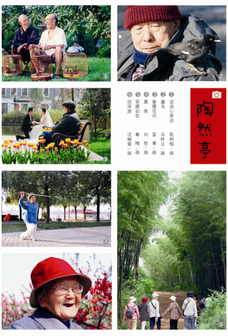 摄影作品赏析（第五期）